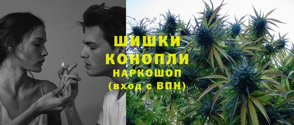 крисы Абдулино