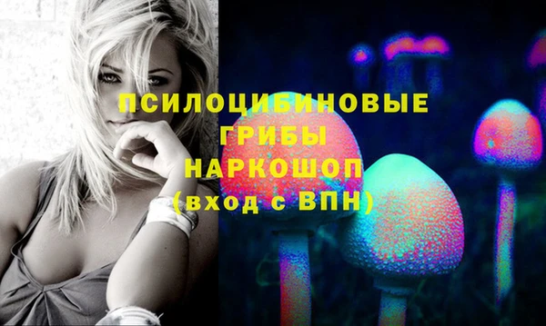 прущая мука Абаза