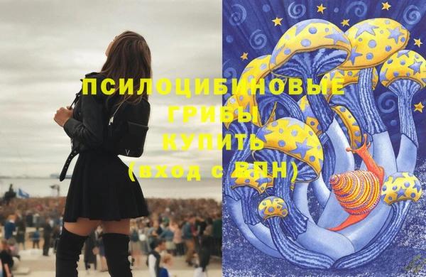 крисы Абдулино
